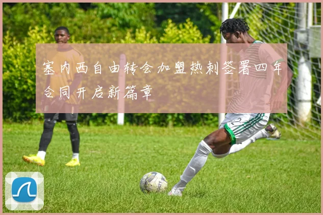 塞内西自由转会加盟热刺签署四年合同开启新篇章